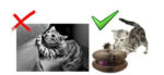 Arranhador para Gatos 2 em 1 com Bolinha