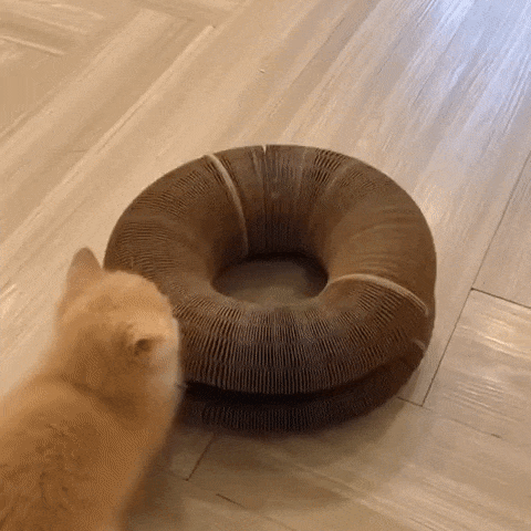 Arranhador para Gatos 2 em 1 com Bolinha - Brinquedo Interativo
