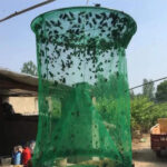 Armadilha para Moscas Ecológica Reutilizável para Jardim e Quintal