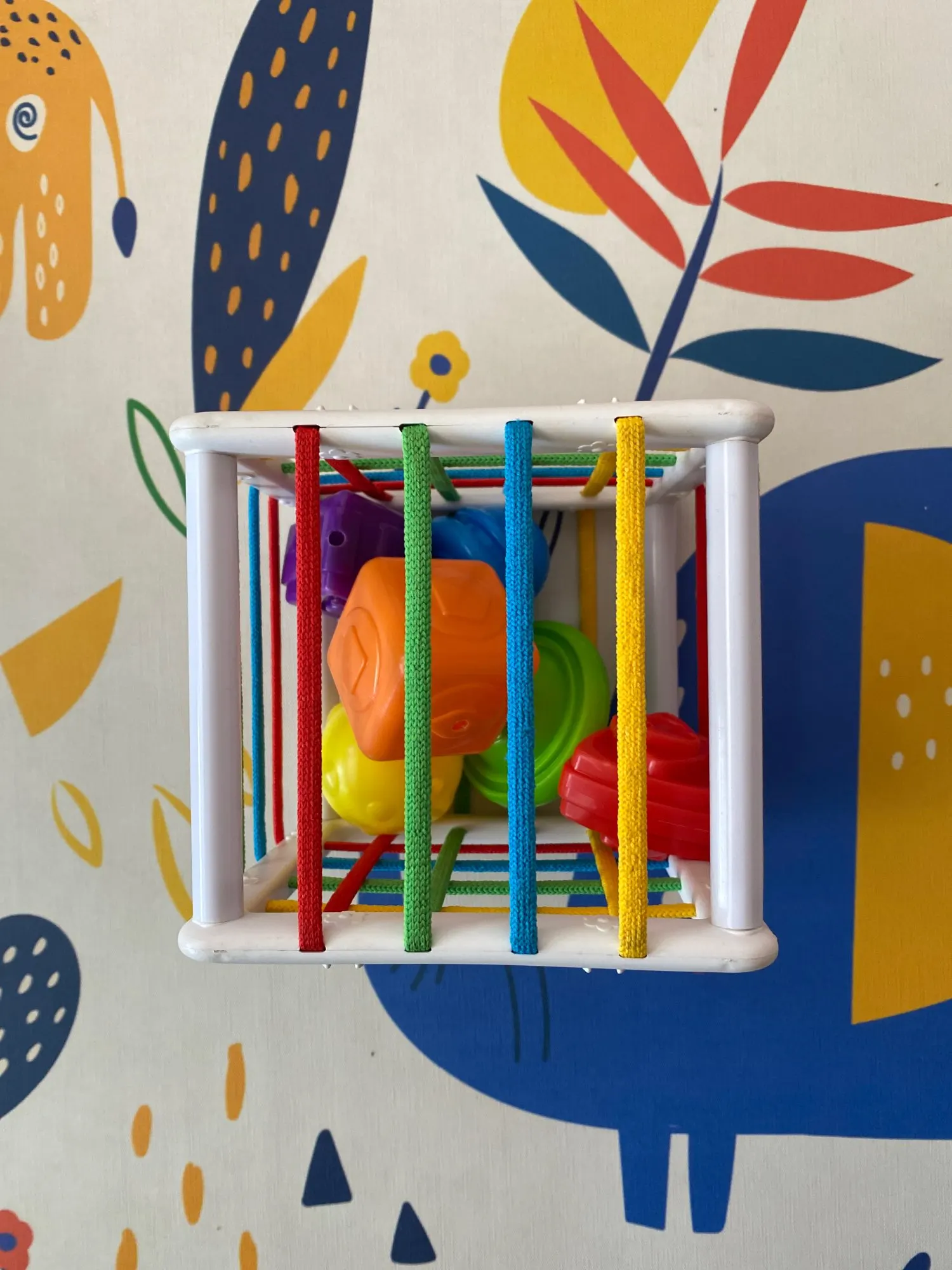 Imagem da Avaliação