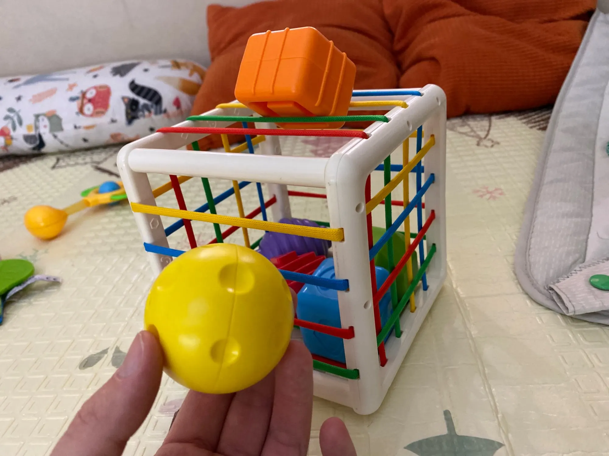 Imagem da Avaliação