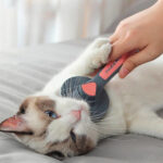 Escova Autolimpante para Remoção de Pelos de Cães e Gatos