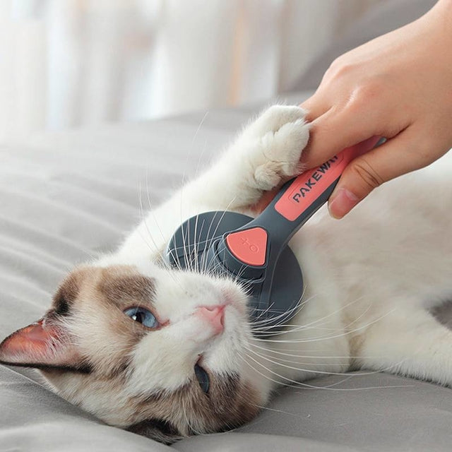 Escova Autolimpante para Remoção de Pelos de Cães e Gatos