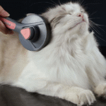 Escova Autolimpante para Remoção de Pelos de Cães e Gatos