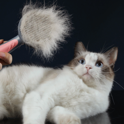 Escova Autolimpante para Remoção de Pelos de Cães e Gatos