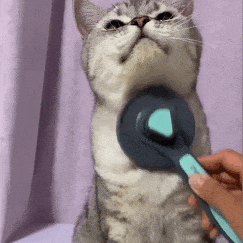 Escova Autolimpante para Remoção de Pelos de Cães e Gatos